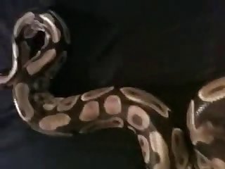 Milf Cum Fuck Porn Xxx