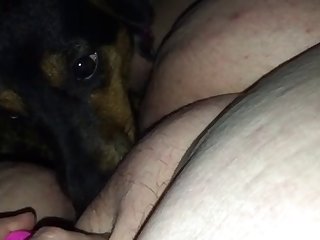 Ely La Bella Xxx Porn