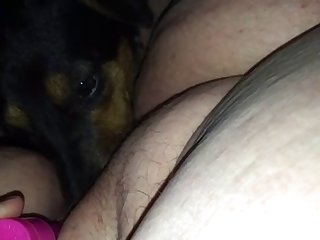 Ely La Bella Xxx Porn