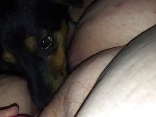 Ely La Bella Xxx Porn