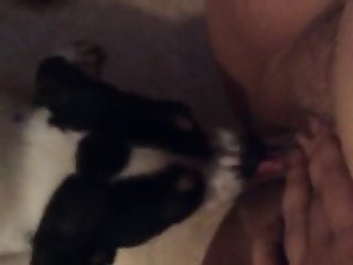 Roman Reigns Xxx Porn
