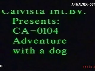 Animal Sex Vadio