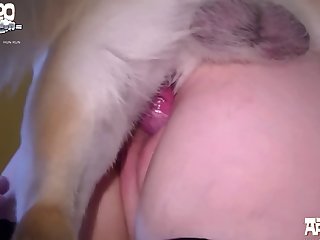 Bestiality Breeding Animal Sex Erotica