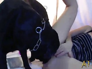 Best Zoo Porn Sites