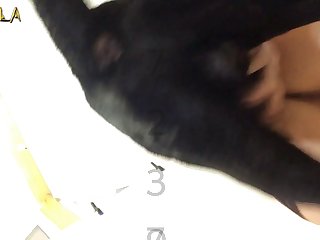 Bonnie Blue Oetting Zoo Porn