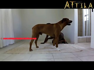 Teen Titans Porn Xxx