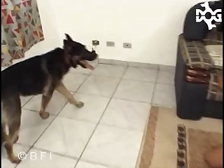 Veronika Zemanova Blowjob Xxx Porn