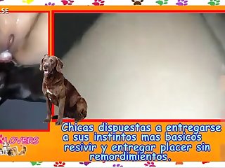 Zoo Manual Dog Lovers xxxxx