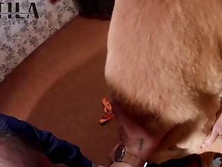 I Wanna Be Your Dog xxxxx