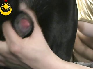 Tokyo Beastfarm Hot Dog Sucking Fucking xxxxx