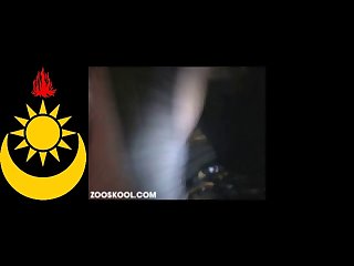 Zooskool Amateur Mdog