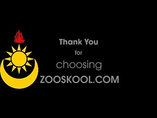Zooskool Amateur Mdog