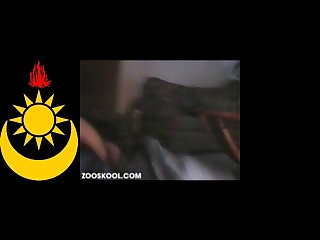 Zooskool Amateur Mdog