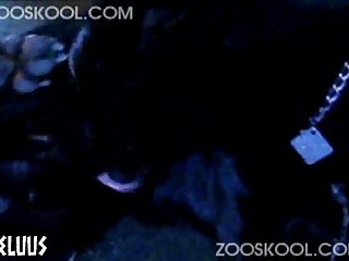 Zooskool Bonnie Busy Bonnie