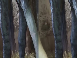 Flare3d