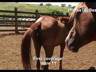 First Coverage