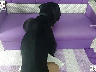 Swedish Girls Reacting To Dog Porn