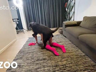 Girl Peeing On Dog Porn