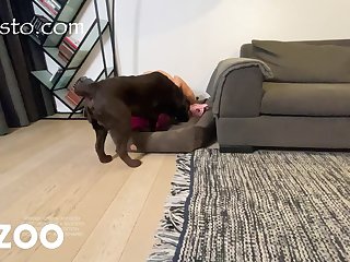 Girl Peeing On Dog Porn