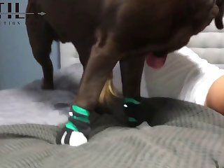 Teen Dog Porn Compilation