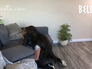 Knottypawz Dog Porn