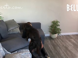 Knottypawz Dog Porn
