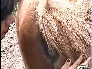 Granny Zoo Tube