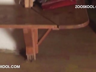 Art Of Zoo River Runs Deep