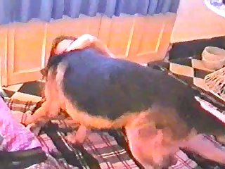 Animal Sex Kissing