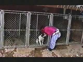 Spain Law Animal Sex