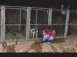 Spain Law Animal Sex
