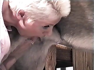 Zoo Porn Hypno