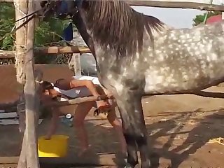 Spain Legalized Animal Sex