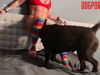 What Is Zoophilie