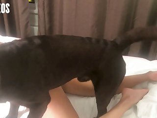 Girls Fucking With Dog