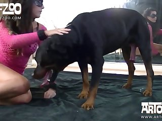 Gay Zoo Dog Xxx