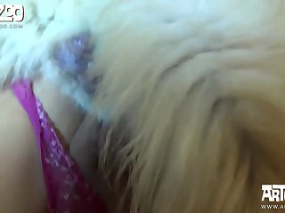 I Want Candy Dog Xxx