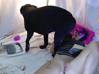 Beautiful Dog Xxx
