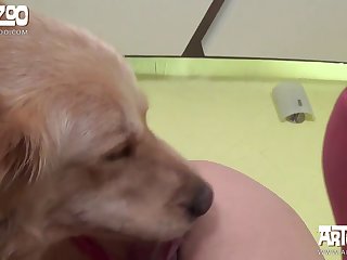Mimi Dog Xxx Video