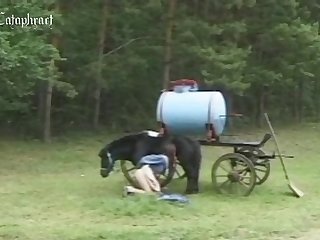 Female Horse In Heat Zoo Porn