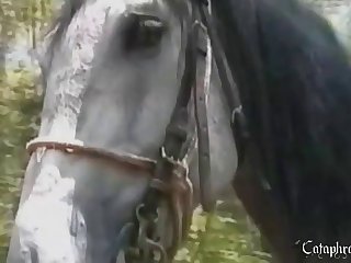 Animal Sex Videos Xnxx