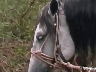 Animal Sex Videos Xnxx