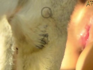 Porno Zofilia