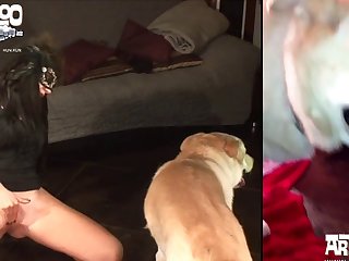 Sexo De Mulher Com Cachorro