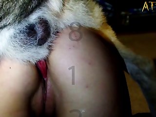 Xxx Dog Girl