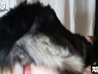 Femme Qui Fait L'amour Avec Un Chien