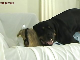 Girl Fucked By Dog