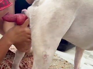 Comendo Cu De Cachorro