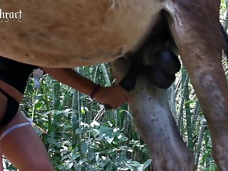 Sexo Com Jumenta