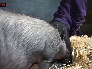 Coño De Perra